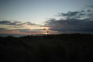 View of a sunset at Camber Sands behind tall grass.