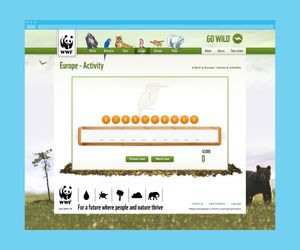 Gameplay for a quiz Flash game.