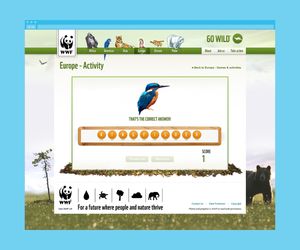 Gameplay for a quiz Flash game.